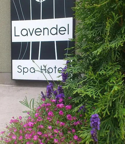 Lavendel 3* Haabneeme